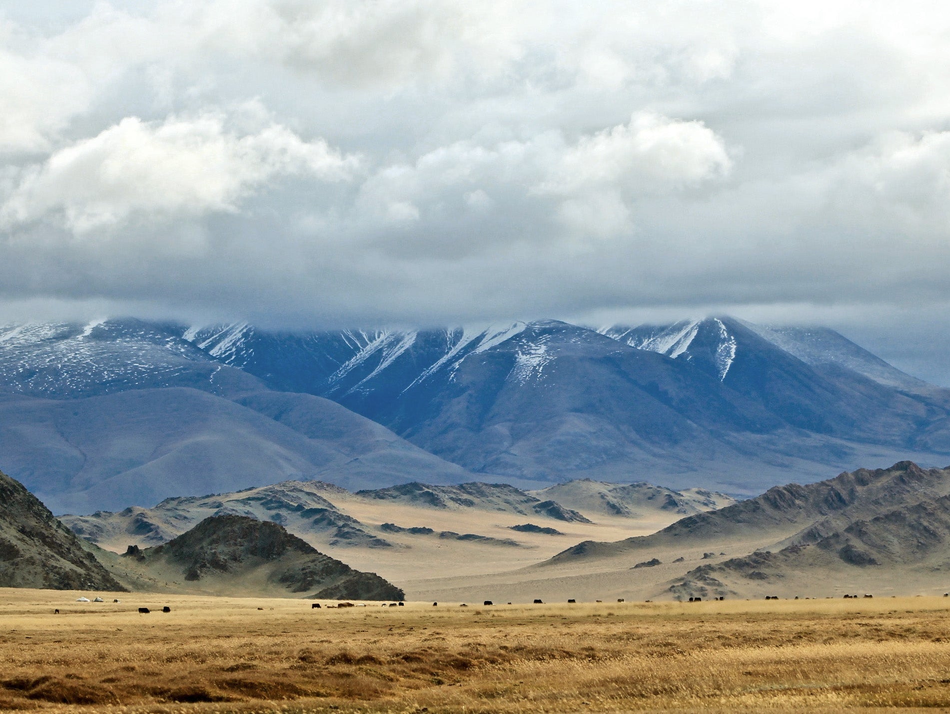 Mongolia: A History Of The World's Finest Cashmere