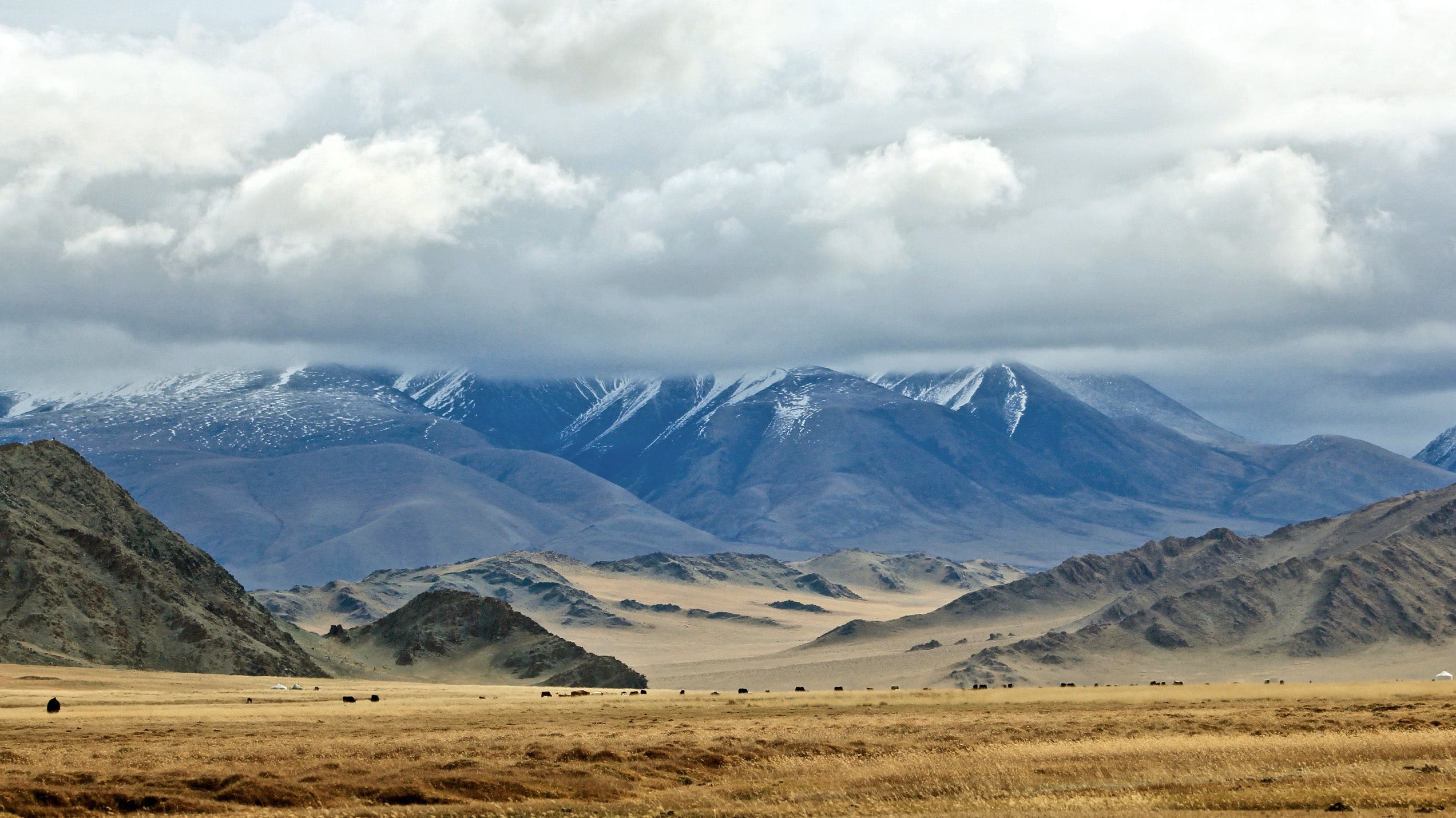 Mongolia: A History of Cashmere
