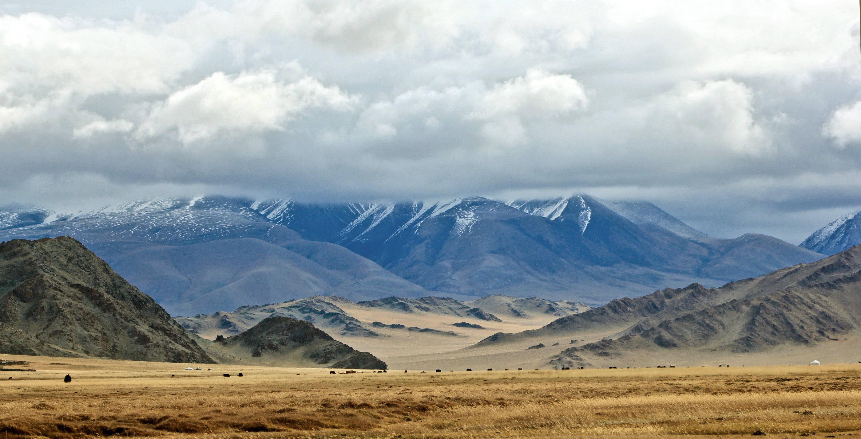 Mongolia: A History Of The World's Finest Cashmere
